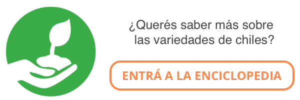 banner enciclopedia de variedades chiles