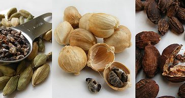 Cardamomo