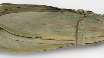 Hoja de bambu