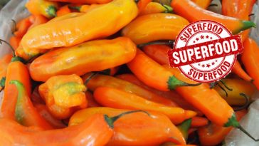 Chiles declarados "Superfood" en Perú
