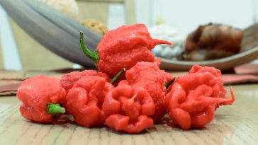 Chiles Rojos Mejoran la Inflamación Estomacal