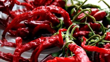 Chiles de árbol